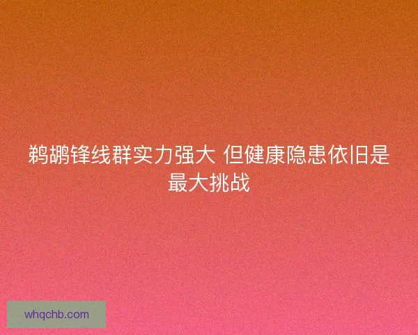 鹈鹕锋线群实力强大 但健康隐患依旧是最大挑战 鹈鹕锋线群实力强大 但健康隐患依旧是最大挑战